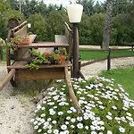 I Vigneti *