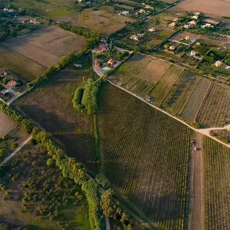 I Vigneti Lantgård Olmedo