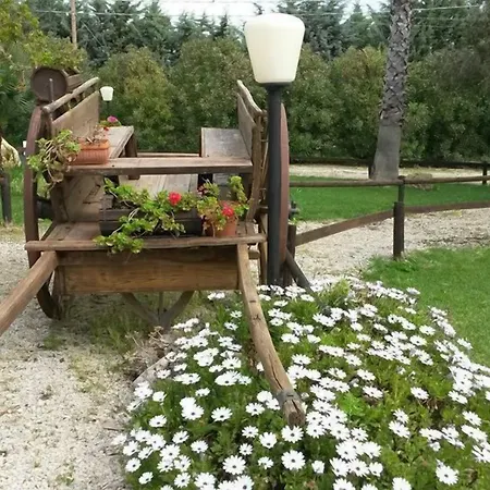 I Vigneti *