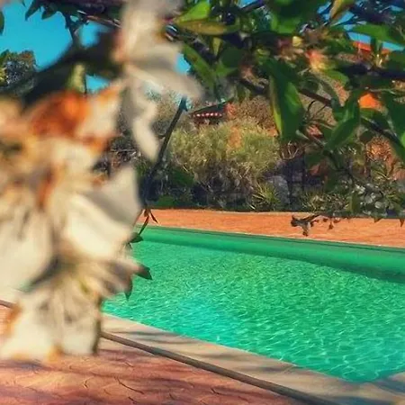 Agroturismo I Vigneti Olmedo