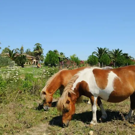 I Vigneti Agroturismo